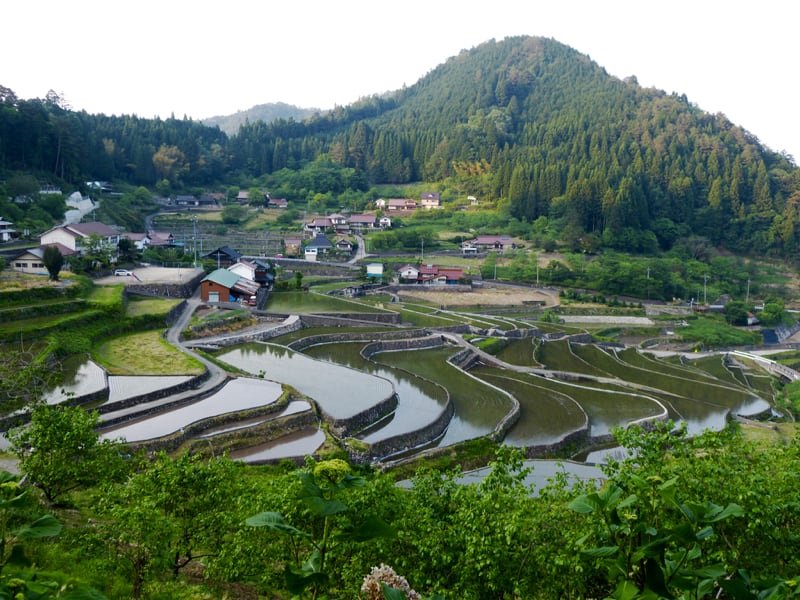 🏞️ 이니 계단식 논(이니노타나다) 이미지 7